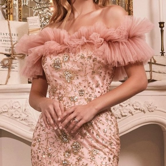 NEW FLOOR LENGTH OFF THE SHOULDER SLEEVELESS TULLE GOWN WITH ZIPPER BACK CD J818 - Picture 5 of 9